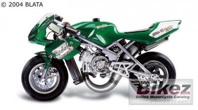 2007 blata elite 13 wr photo